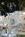 Holiday Inn Express Athens from Orbitz
