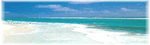 Crystal Beach::Mike & Earl Osten