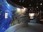 Timucuan Ecological Historic Preserve