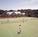 Litchfield Plantation::Expedia