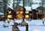 Pinky-south-lake-tahoe-california-inns-blackbearinn