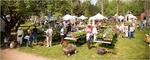 Herb and Garden Faire