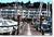 The Landing At Newport from Expedia