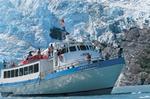 Major Marine Tours