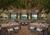 Grand Hyatt Tampa Bay::ProfessionalTravelGuide.com