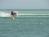 Harbor Lights at Holiday Isle::Orbitz