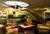 Cherry Creek Hotel from ProfessionalTravelGuide.com