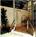 Pinky-019208_spa_01_f
