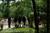 Garden Manor Bed & Breakfast Inn::BedAndBreakfast.com
