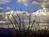 Westward Look Resort::TripAdvisor