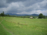 Tn-514824435_f5157f422e_m