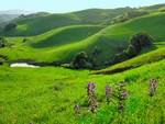 Briones Regional Park