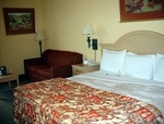 Hampton Inn Dallas/Arlington-Dfw (Six Flags)