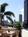 Best Western Cabrillo Garden Inn from Hotels.com