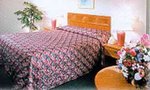 Super 8 Motel
