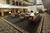 Wytestone Suites::Travelocity.com