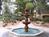 Scottsdale Plaza Resort::VirtualTourist