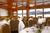Golden Arrow Lakeside Resort::Priceline.com