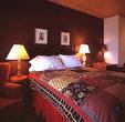 Tn-zz_24054-broom-2