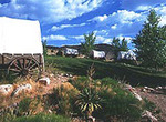 Tn-grand-canyon-north-rim-bar-10-deluxe-air-and-ground-tour-in-las-vegas-1