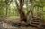 Creekside Inn at Sedona::BedAndBreakfast.com