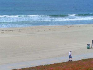 Web-torrance-beach
