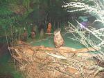 Walk in the Wild - Nature Museum