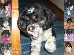 Tn-broken-bow-ne-lodging-rockingchairinnbedandbreakfast