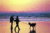 Best Western Ocean View Resort::PetFriendly.com