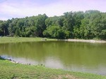 Tn-photo_22