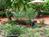 Palmoire Bed and Breakfast Resort::BedAndBreakfast.com