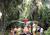 Miami Metrozoo from Miami Metrozoo