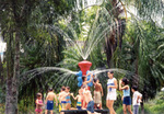 Tn-waterplay-cz1
