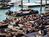 Pier 39 from Jenniferb