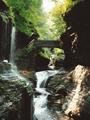 Watkins Glen State Park