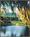 Amorosa Inn & Gardens::BedAndBreakfast.com