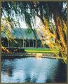 Amorosa Inn & Gardens::BedAndBreakfast.com