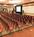 Marriott Cincinnati Northeast::Priceline.com