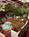 Canyon Plaza Quality Inn::Expedia
