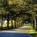 The Villas of Grand Cypress::Expedia