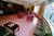 Super 8 Motel - Milford/New Haven::ProfessionalTravelGuide.com