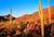 White Stallion Ranch All-Inclusive from Yahoo! Travel