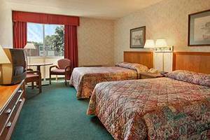 Web-23030_35_b