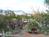 Desert Dove Bed & Breakfast::BedAndBreakfast.com