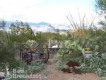 Desert Dove Bed & Breakfast