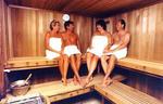 Tn-12773-sauna-1