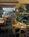 Valley Forge Suites Hotel::Expedia