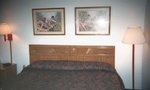 Super 8 Motel - Malone::Yahoo! Travel