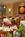 Holiday Inn Hotel & Suites Sunrise-Ft. Lauderdale::ProfessionalTravelGuide.com