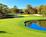 Innisbrook Resort and Golf Club::Expedia